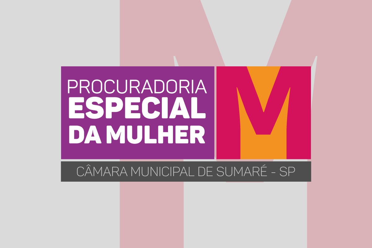 Procuradoria da Mulher da Câmara de Sumaré encerra Agosto Lilás com participação em seminário